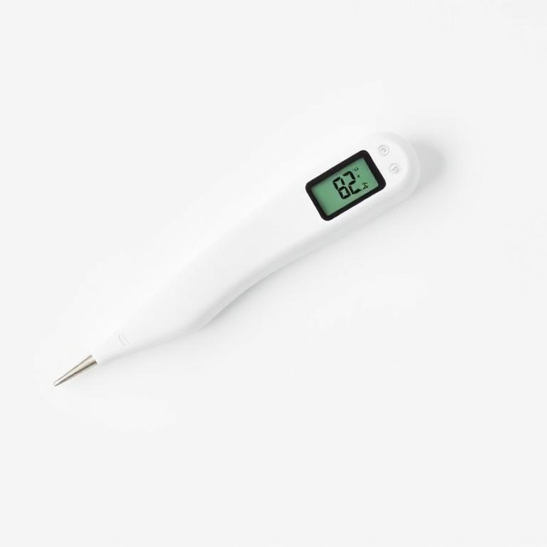 Digital Thermometer